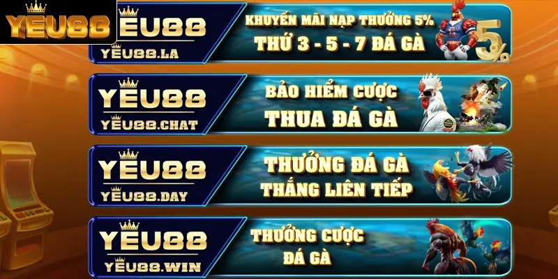 Tổng hợp các khuyến mãi đá gà vô cùng đặc sắc